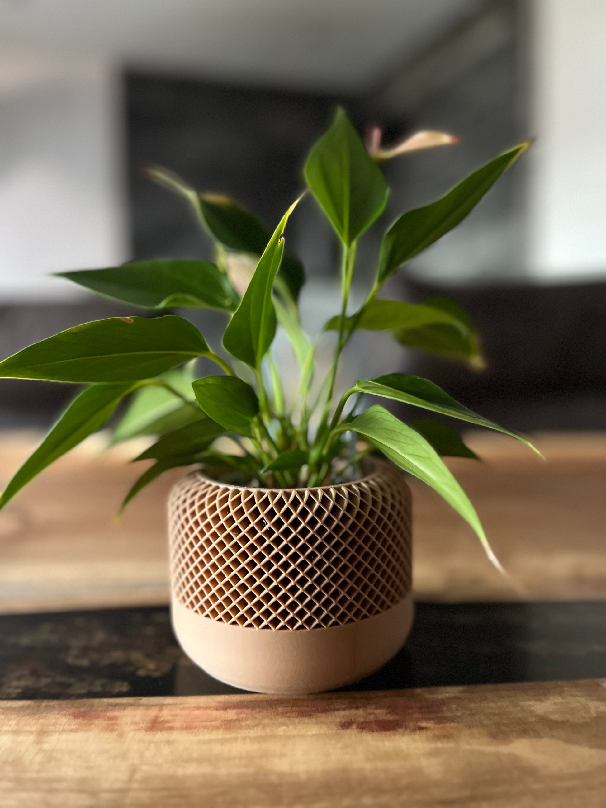 Design-Blumentopf „Nest“ – Struktur in sanfter Harmonie