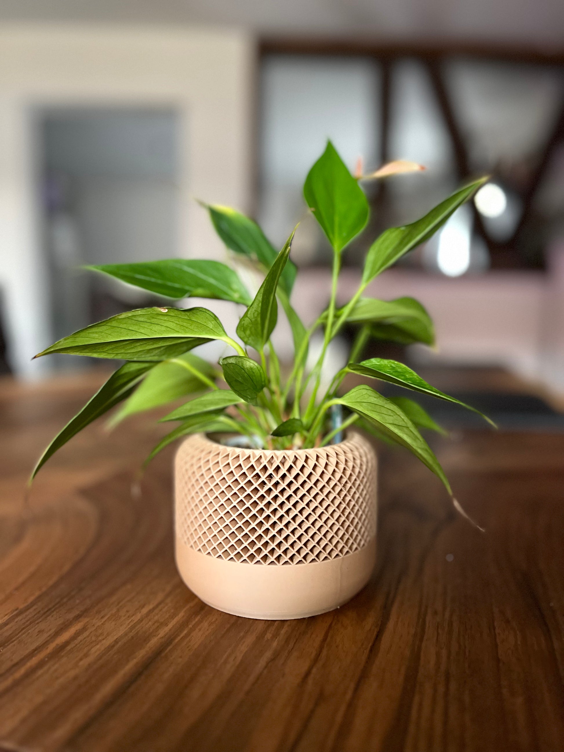 Design-Blumentopf „Nest“ – Struktur in sanfter Harmonie